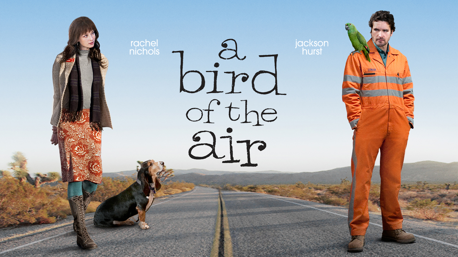A Bird of the Air